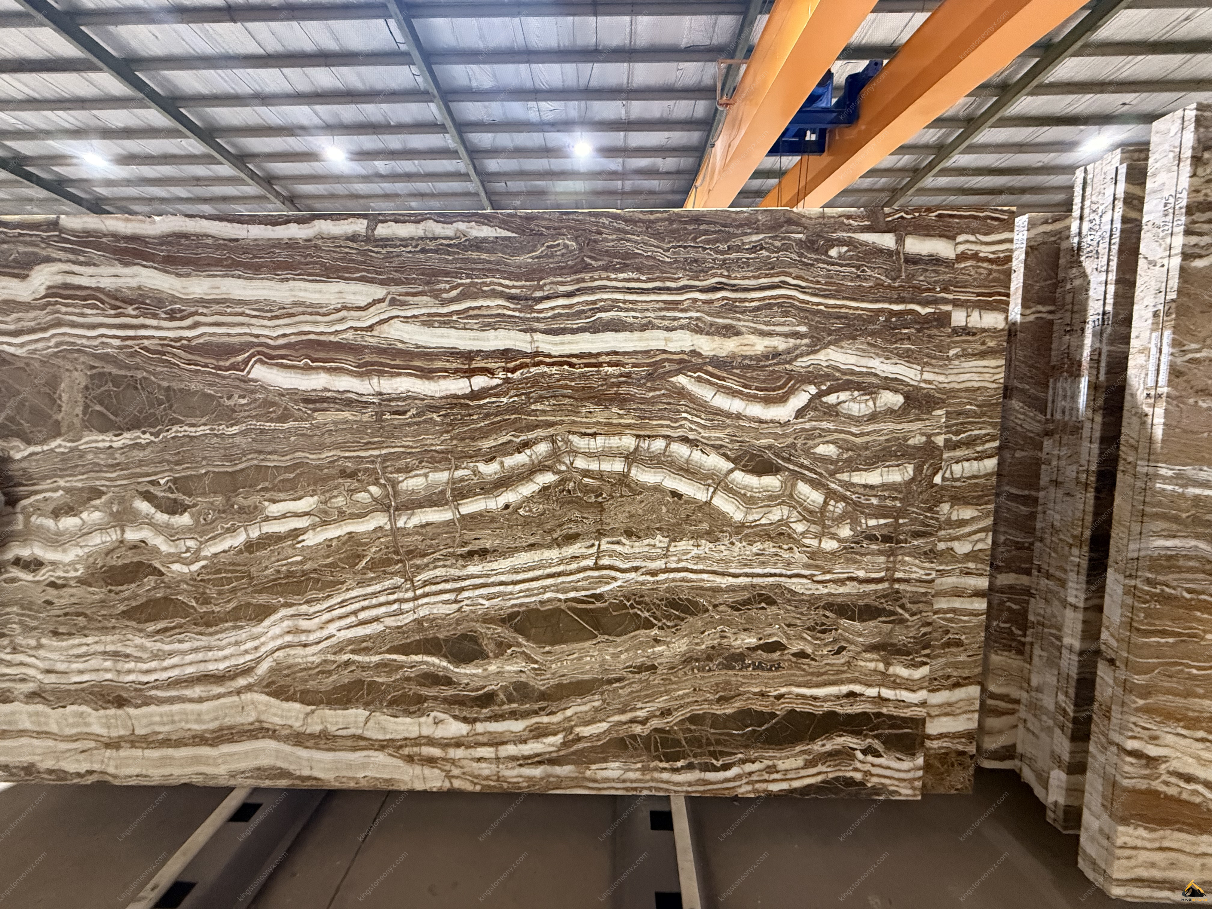 Tree Trunk SJ Traonyx